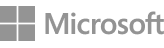 Global Partner of Microsoft